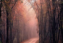 亚星娱乐官网：登场4胜0负扎心KD：浓眉18+7迎双里程碑 回归PF扫荡防守优势大.