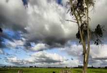 库伊特：希望利物浦赢下英超冠军，我们对球队的未来感到兴奋.