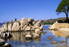 亚星娱乐官网：全华班辽宁不敌青岛遭连败 鄢手骐16+8刘雁宇16分.